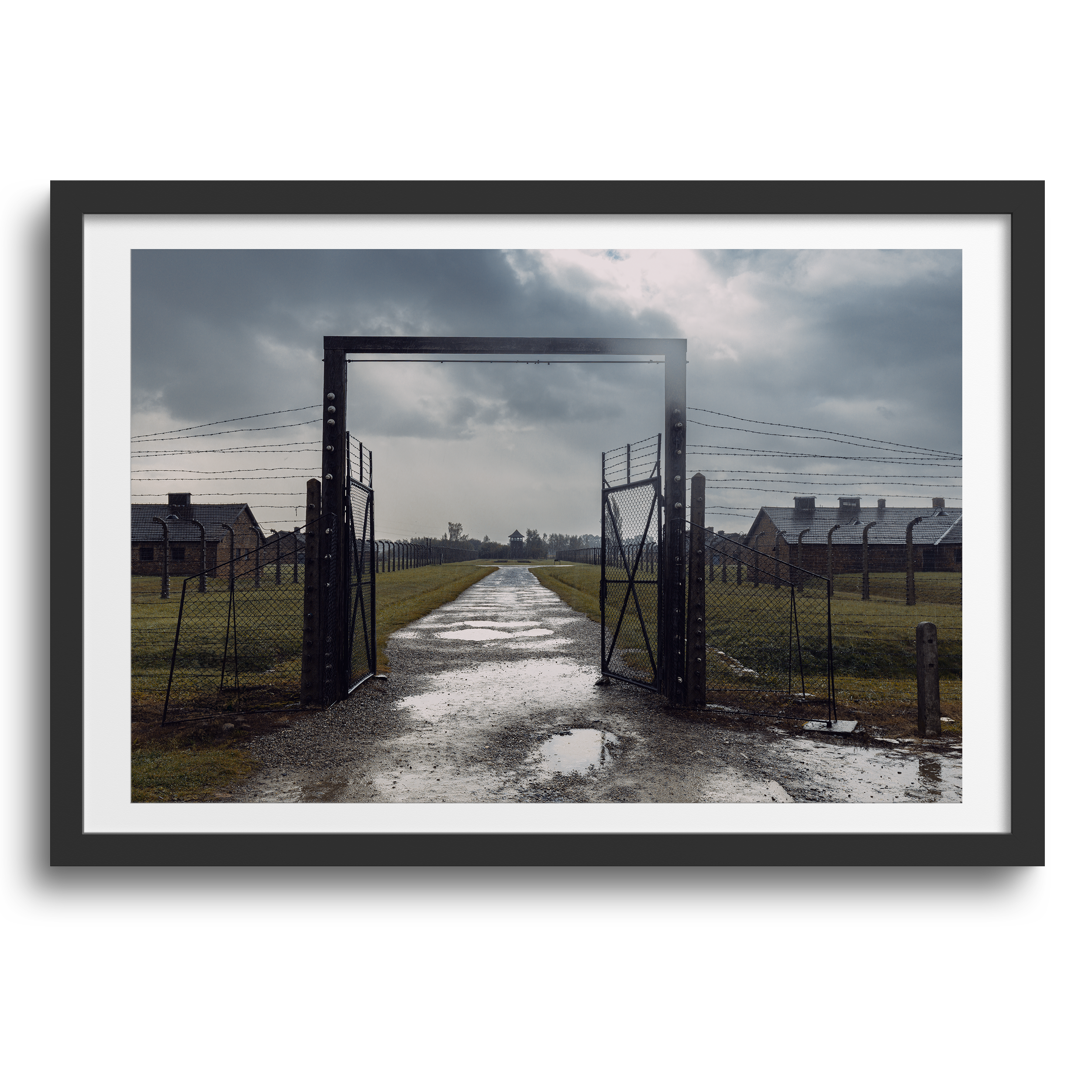 Auschwitz II-Birkenau • Brzezinka, Poland
