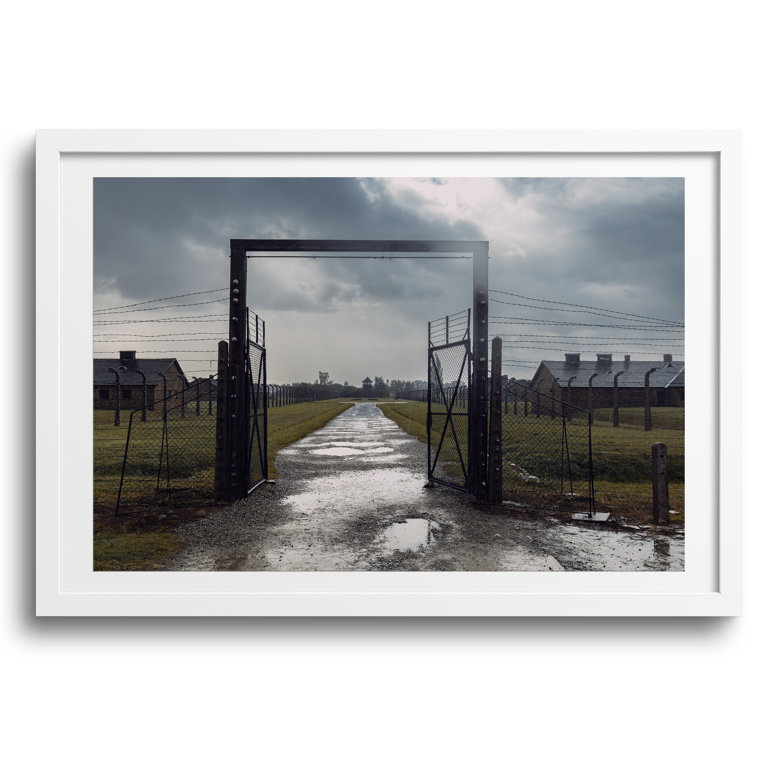Auschwitz II-Birkenau • Brzezinka, Poland