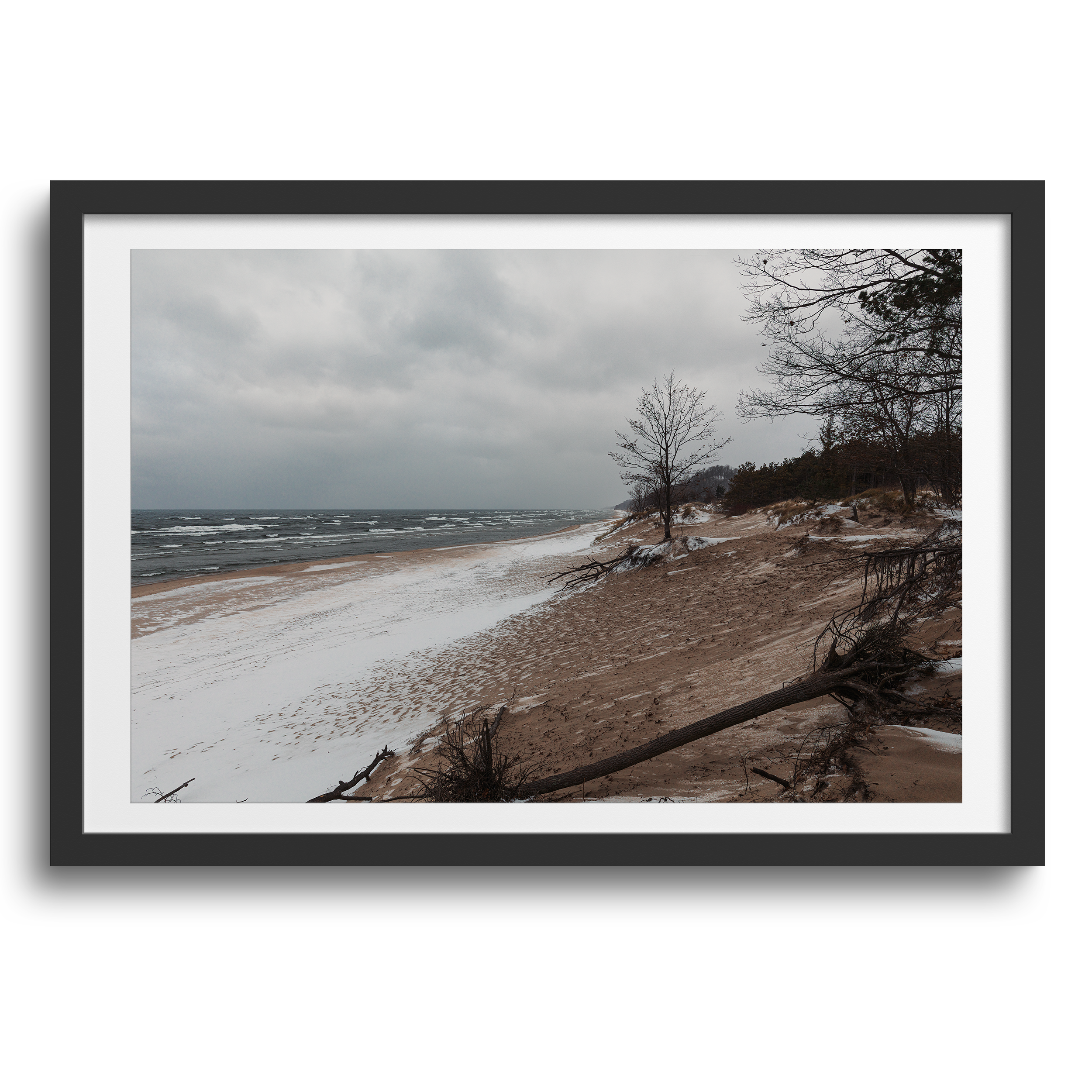 Saugatuck Dunes State Park • Holland, Michigan