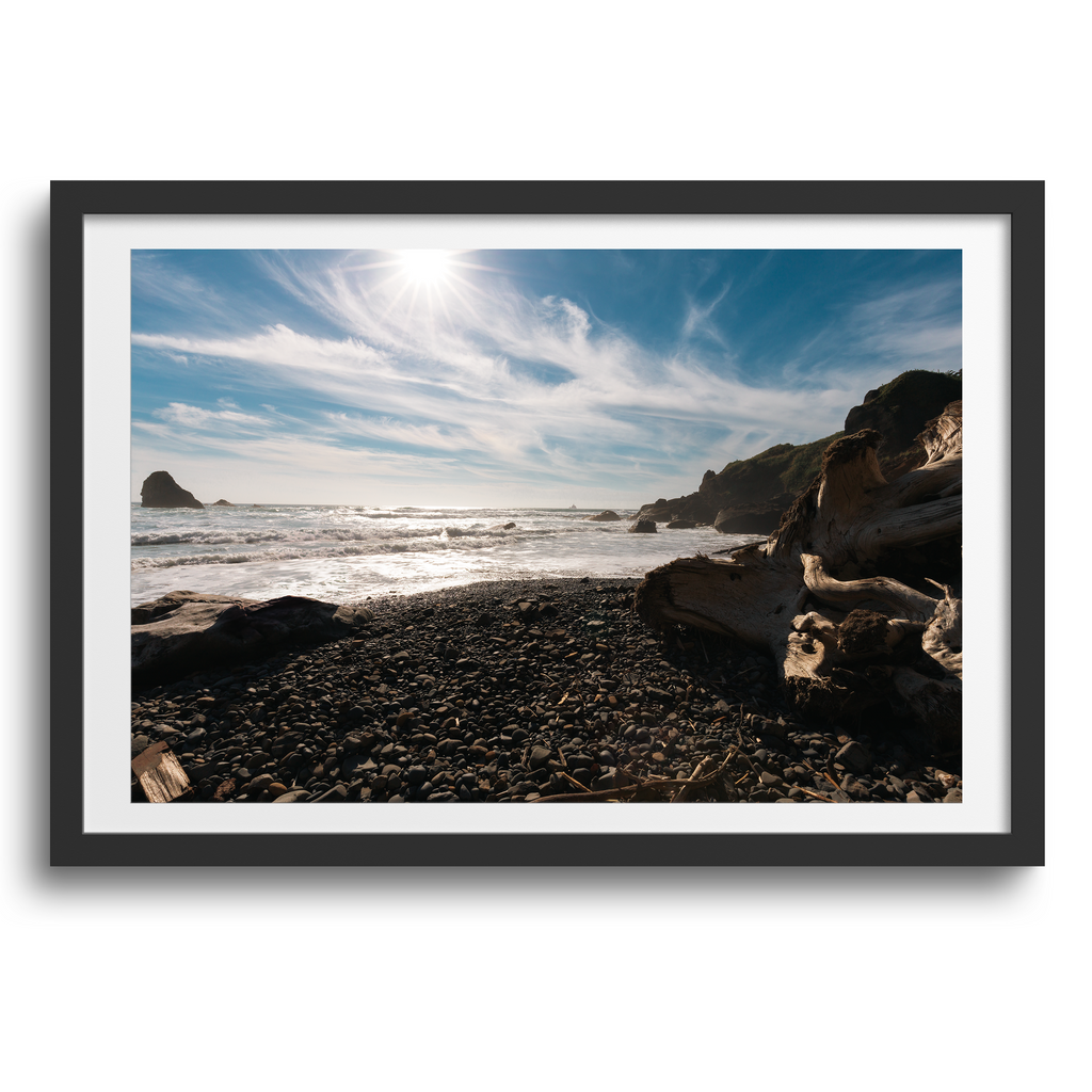 Ecloa State Park • Cannon Beach, Oregon