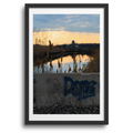 Woodtick Peninsula • Luna Pier, Michigan