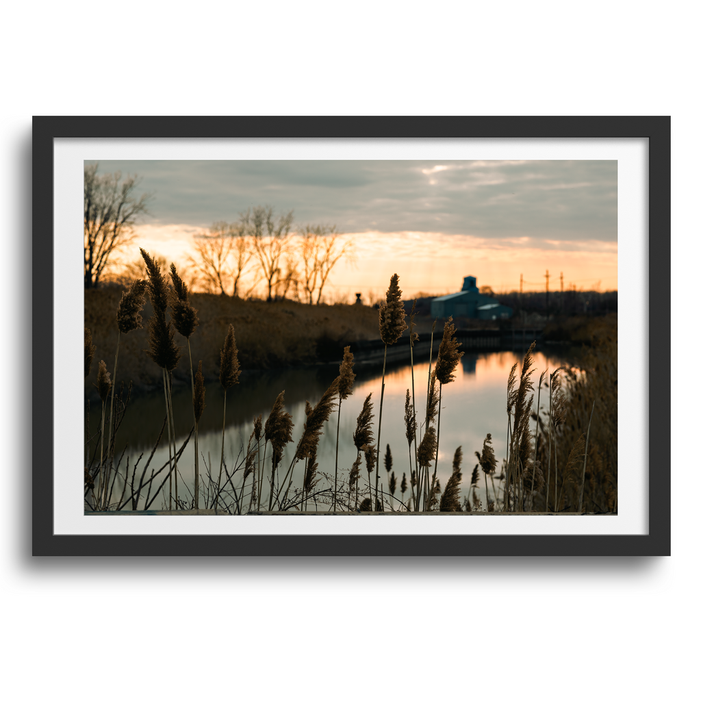 Woodtick Peninsula • Luna Pier, Michigan