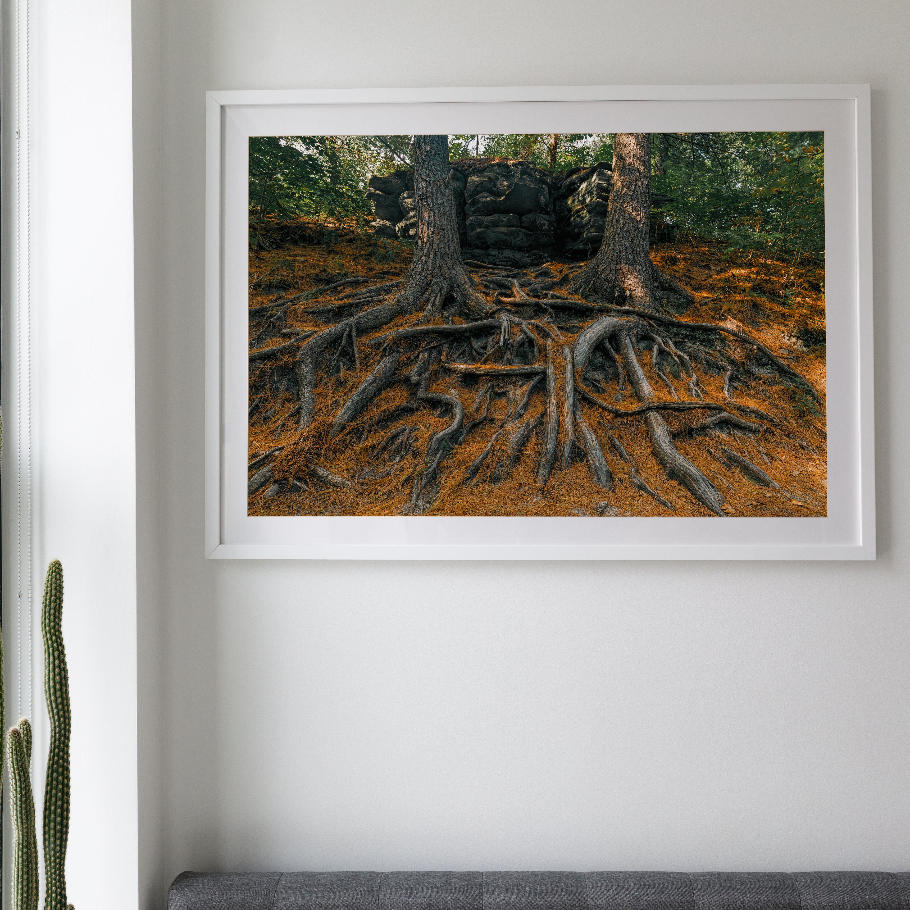 Starved Rock State Park • Oglesby, Illinois