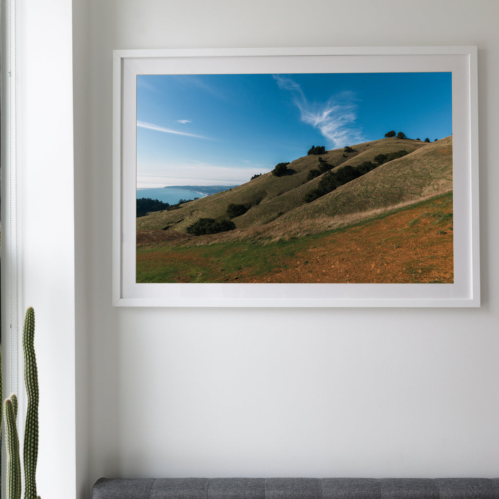 O'Rourke's Bench • Stinson Beach, California