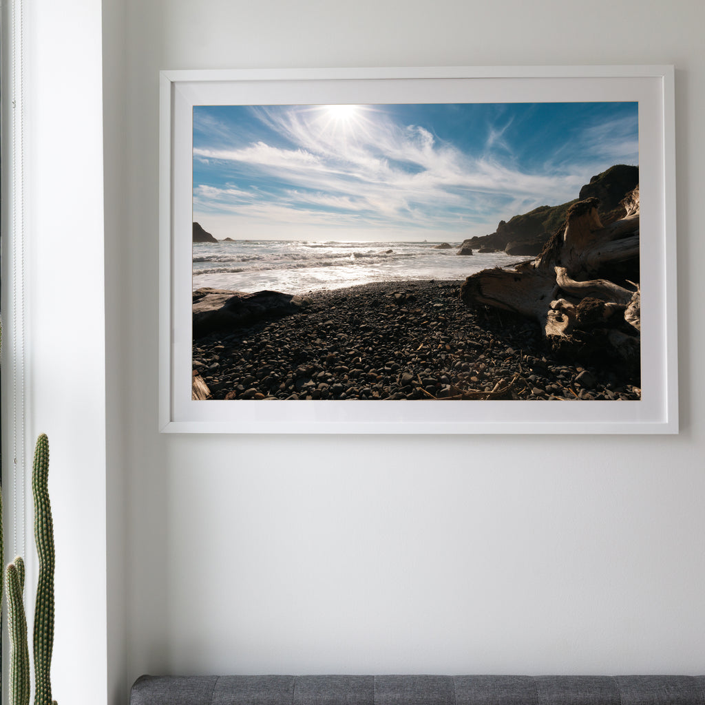 Ecloa State Park • Cannon Beach, Oregon