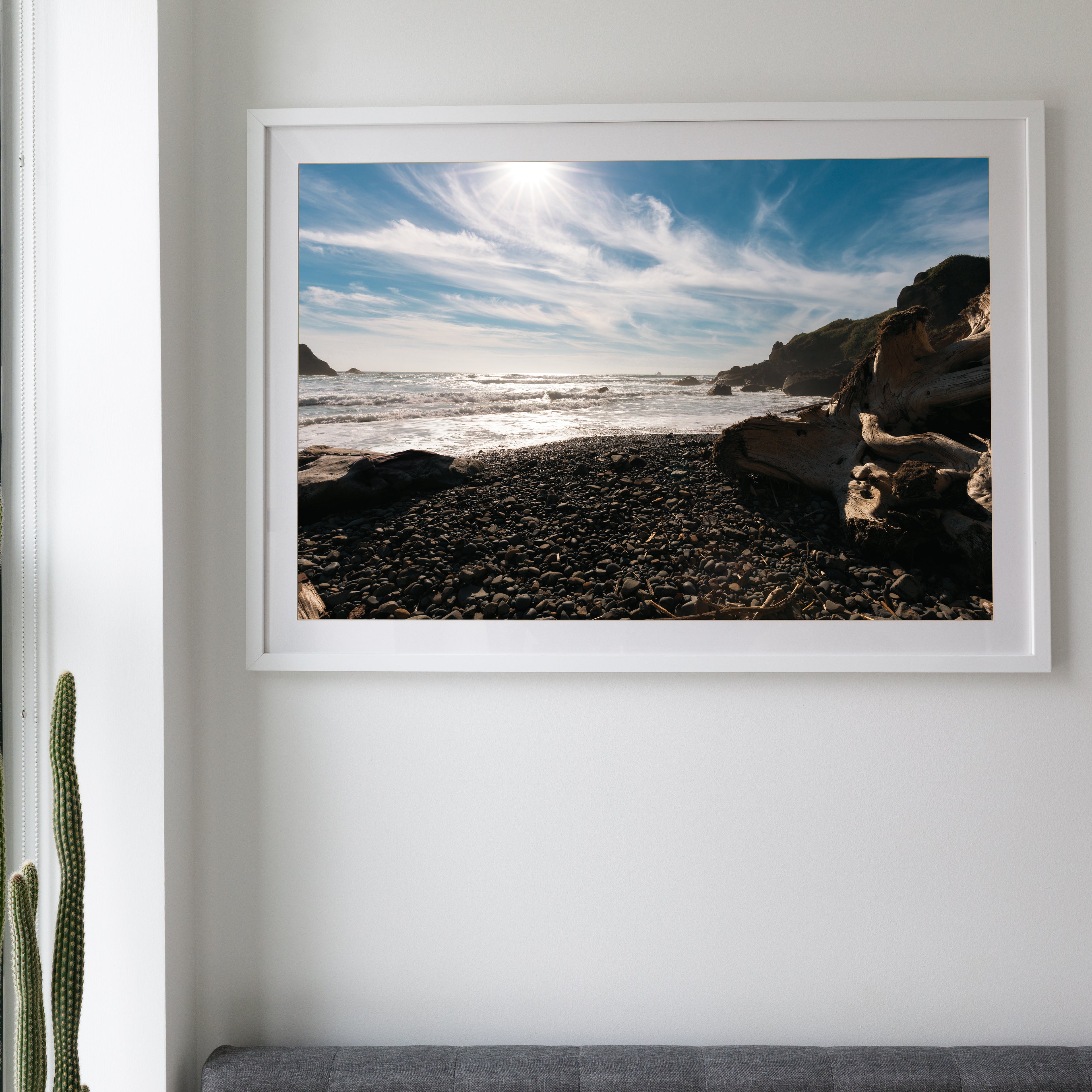 Ecloa State Park • Cannon Beach, Oregon