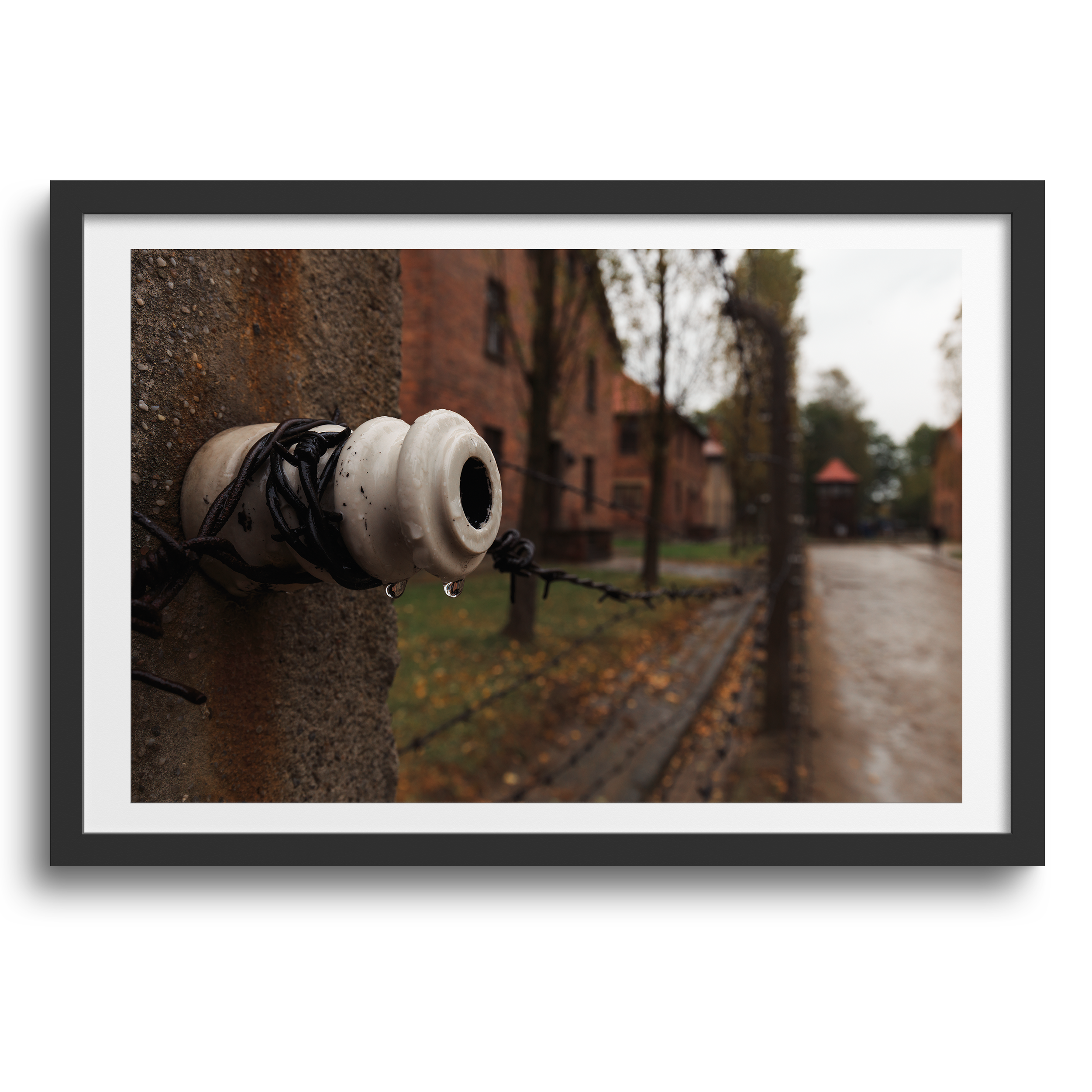 Auschwitz-Birkenau • Oświęcim, Polonia